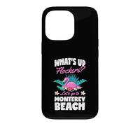 Carcasa para iPhone 13 Pro ¿Qué Pasa Flockers Vamos a Monterey Beach California