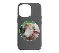 Carcasa para iPhone 13 Pro Rare Albino Buffalo in Bangladesh Named After The President