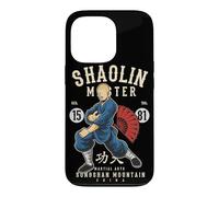 Carcasa para iPhone 13 Pro Shaolin Wu-Yi Kung Fu Artes Marciales Songshan Montañas Regalo