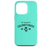 Carcasa para iPhone 13 Pro The Village of Calumet Grove - Diseño de Palmeras de Estilo clásico
