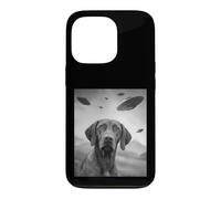 Carcasa para iPhone 13 Pro Vizsla UFO