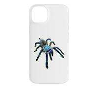 Carcasa para iPhone 14 Plus Araña Tarántula Babuino Azul Isla Socotra (M. balfouri)