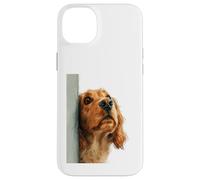 Carcasa para iPhone 14 Plus Curioso Spaniel Peeking Dog Art