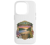 Carcasa para iPhone 14 Pro Bristol Beach State Park Nueva York - Recuerdo novedoso