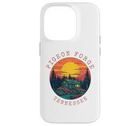 Carcasa para iPhone 14 Pro Casa Retro de Pigeon Forge, Tennessee, casa de Vacaciones, casa de Vacaciones