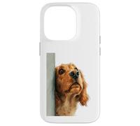 Carcasa para iPhone 14 Pro Curioso Spaniel Peeking Dog Art
