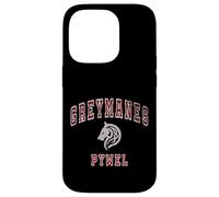 Carcasa para iPhone 14 Pro Distressed Greymanes Crimson Desert Pywel Funny Design