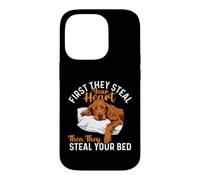 Carcasa para iPhone 14 Pro First They Steal Your Heart - Setter irlandés Red Setter Dad