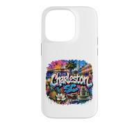 Carcasa para iPhone 14 Pro Fuente de Charleston South Carolina SC USA