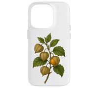 Carcasa para iPhone 14 Pro Impresión artística Vintage botánica Physalis Golden Berry