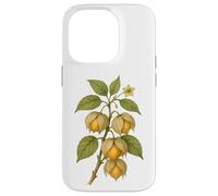 Carcasa para iPhone 14 Pro Impresión artística Vintage botánica Physalis Nature Fruit