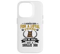 Carcasa para iPhone 14 Pro Le pedí a Dios un Amigo Leal Que me envió un Perro Shollie