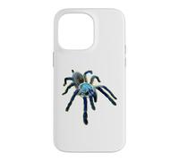 Carcasa para iPhone 14 Pro MAX Araña Tarántula Babuino Azul Isla Socotra (M. balfouri)