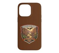Carcasa para iPhone 14 Pro MAX Big Bend National Park Texas - Recuerdos gráficos novedosos