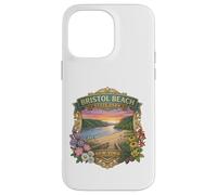 Carcasa para iPhone 14 Pro MAX Bristol Beach State Park Nueva York - Recuerdo novedoso