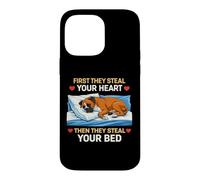 Carcasa para iPhone 14 Pro MAX First They Steal Your Heart Then The Bed Boxer Dog Owner Fun