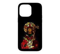 Carcasa para iPhone 14 Pro MAX Iglesia Católica de Jesús San Estanislao Vitral