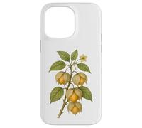 Carcasa para iPhone 14 Pro MAX Impresión artística Vintage botánica Physalis Nature Fruit