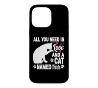 Carcasa para iPhone 14 Pro MAX Nombre Personalizado de Gato Trixie Cute Kitten Pet Lover