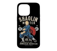 Carcasa para iPhone 14 Pro MAX Shaolin Wu-Yi Kung Fu Artes Marciales Songshan Montañas Regalo
