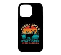 Carcasa para iPhone 14 Pro MAX Souvenir Retro al Atardecer en el Parque Estatal Raven Rock de Carolina del Norte