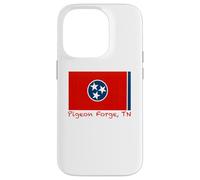 Carcasa para iPhone 14 Pro Pigeon Forge, Recuerdo de la Bandera de Estados Unidos de Tennessee
