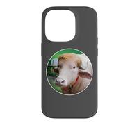 Carcasa para iPhone 14 Pro Rare Albino Buffalo in Bangladesh Named After The President