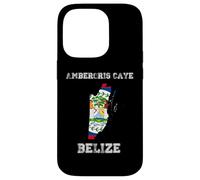 Carcasa para iPhone 14 Pro Retro Ambergris Caye Belice Bandera de Belice Envejecida