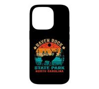 Carcasa para iPhone 14 Pro Souvenir Retro al Atardecer en el Parque Estatal Raven Rock de Carolina del Norte
