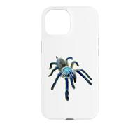 Carcasa para iPhone 15 Araña Tarántula Babuino Azul Isla Socotra (M. balfouri)