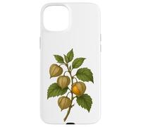 Carcasa para iPhone 15 Plus Impresión artística Vintage botánica Physalis Golden Berry