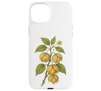 Carcasa para iPhone 15 Plus Impresión artística Vintage botánica Physalis Nature Fruit