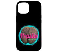 Carcasa para iPhone 15 Praslin diseño Vintage Isla Tropical Seychelles Souvenir