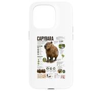 Carcasa para iPhone 15 Pro Capibara Los Datos más Grandes del Mundo sobre roedores