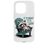 Carcasa para iPhone 15 Pro Chill Raccoon Lazy Summer Actitud - Cita Divertida