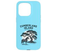 Carcasa para iPhone 15 Pro Cumberland Island Georgia Puesta de Sol