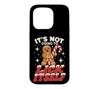 Carcasa para iPhone 15 Pro Gingerbread Man Candy Inappropriate Funny Christmas Graphic
