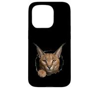 Carcasa para iPhone 15 Pro Gráfico de Animal Caracal Wild Cat Breaking Through Torn Hole