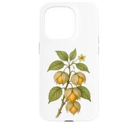 Carcasa para iPhone 15 Pro Impresión artística Vintage botánica Physalis Nature Fruit