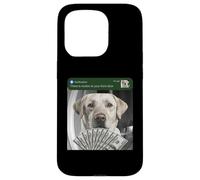 Carcasa para iPhone 15 Pro Labrador Retriever Hay Movimiento en tu Laboratorio de Puerta Principal