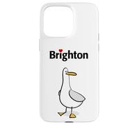Carcasa para iPhone 15 Pro MAX Amo Brighton