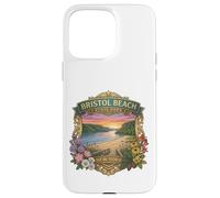 Carcasa para iPhone 15 Pro MAX Bristol Beach State Park Nueva York - Recuerdo novedoso