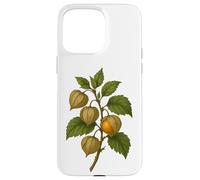 Carcasa para iPhone 15 Pro MAX Impresión artística Vintage botánica Physalis Golden Berry