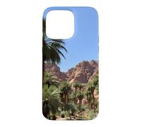 Carcasa para iPhone 15 Pro MAX Obra de Arte del Paisaje del palmeral del Oasis del cañón del Desierto