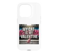Carcasa para iPhone 15 Pro My Cat Is My Valentine Sphynx Street Graffiti Amante de los Gatos