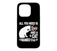 Carcasa para iPhone 15 Pro Nombre Personalizado de Gato Trixie Cute Kitten Pet Lover