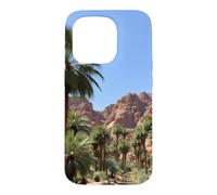 Carcasa para iPhone 15 Pro Obra de Arte del Paisaje del palmeral del Oasis del cañón del Desierto