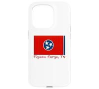 Carcasa para iPhone 15 Pro Pigeon Forge, Recuerdo de la Bandera de Estados Unidos de Tennessee