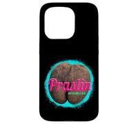 Carcasa para iPhone 15 Pro Praslin diseño Vintage Isla Tropical Seychelles Souvenir