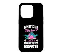 Carcasa para iPhone 15 Pro ¿Qué Pasa Flockers Vamos a Monterey Beach California
